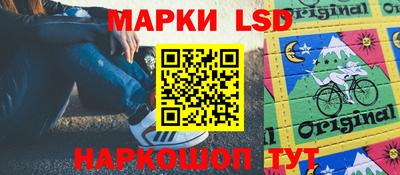 шишки Будённовск
