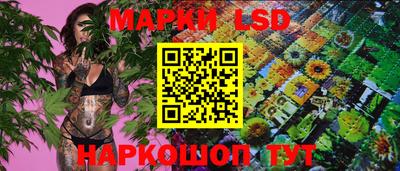 шишки Будённовск
