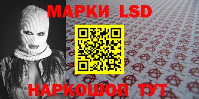 шишки Будённовск