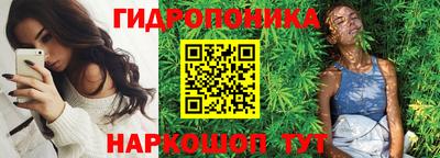 шишки Будённовск